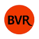 BVR Group Asia